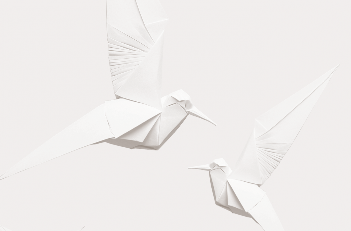 prednjica_Lepet Jelena Zlatar Gamberožić: Trebao bi